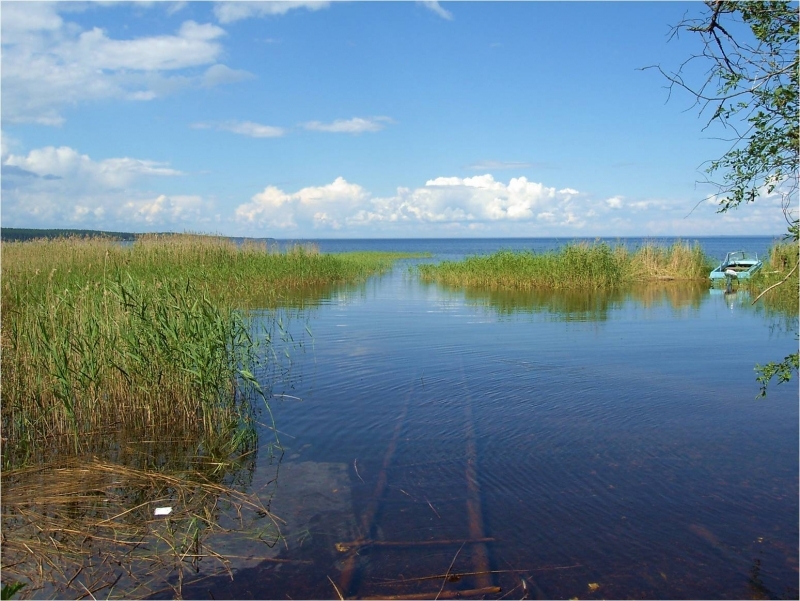 Загубье