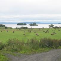 Фотогалерея